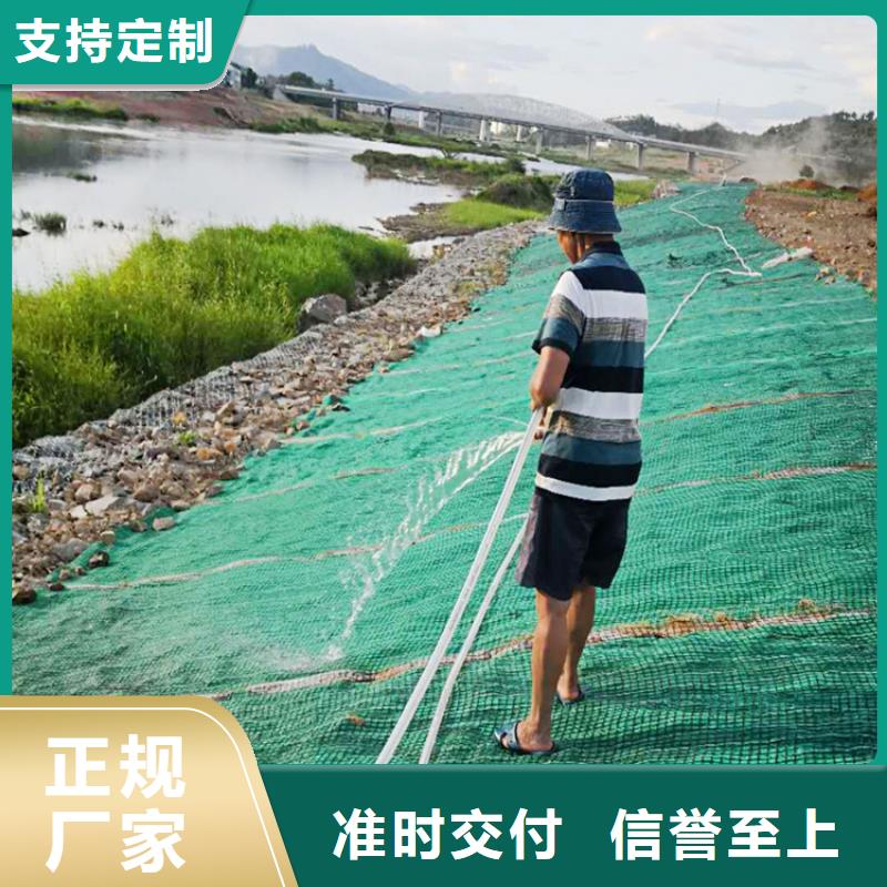 椰丝毯【玻纤格栅】实力优品