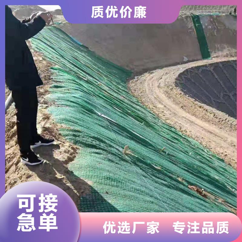 植物生态防护毯-椰纤植生毯