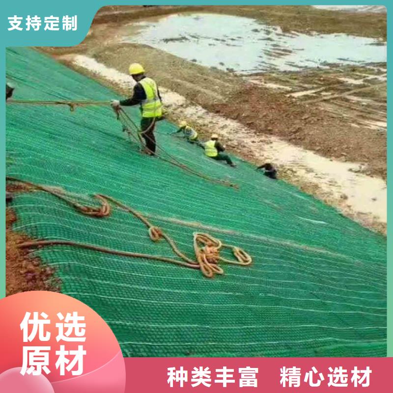 植物生态防护毯-护坡植被植草毯