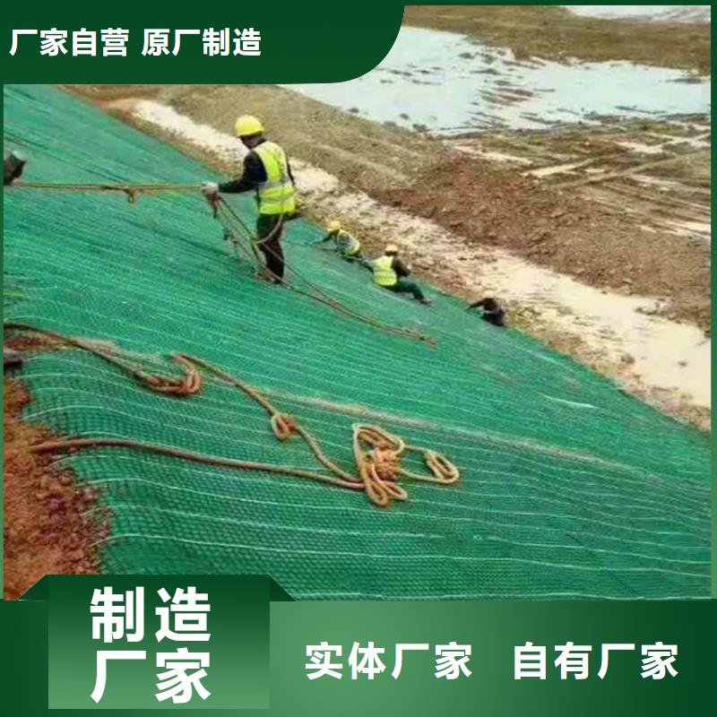 植生草毯产品动态