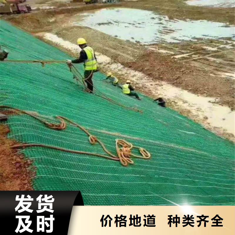 植生椰丝毯-生态环保草毯-秸秆纤维生态毯