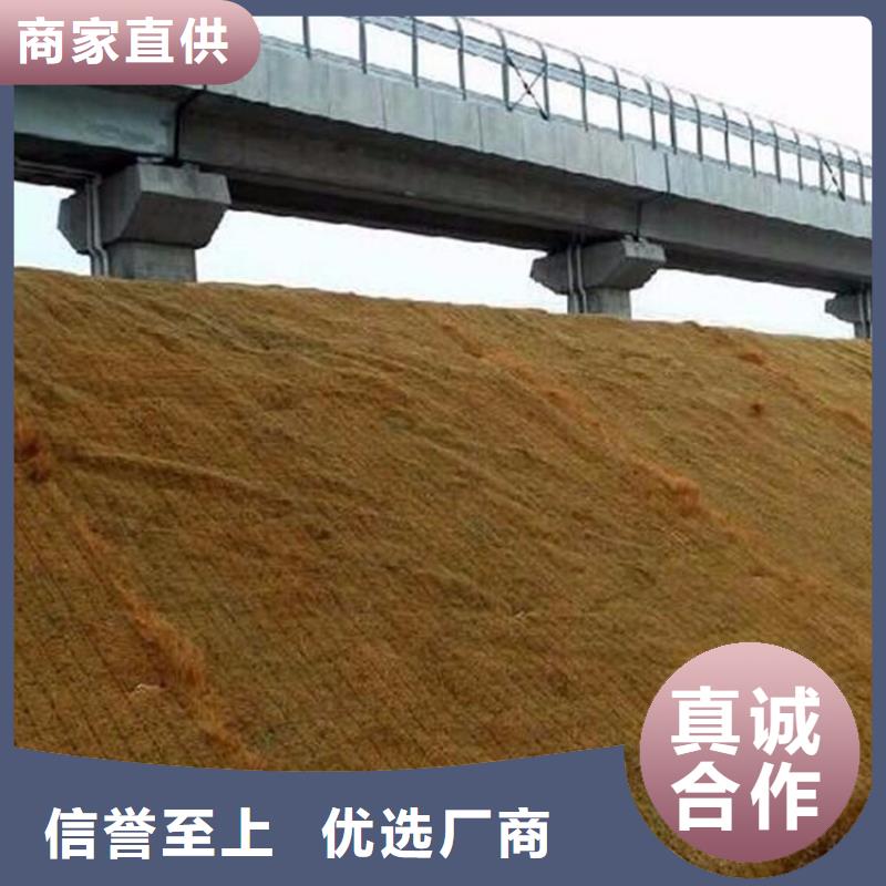 椰丝植被纤维毯-水保植物纤维毯