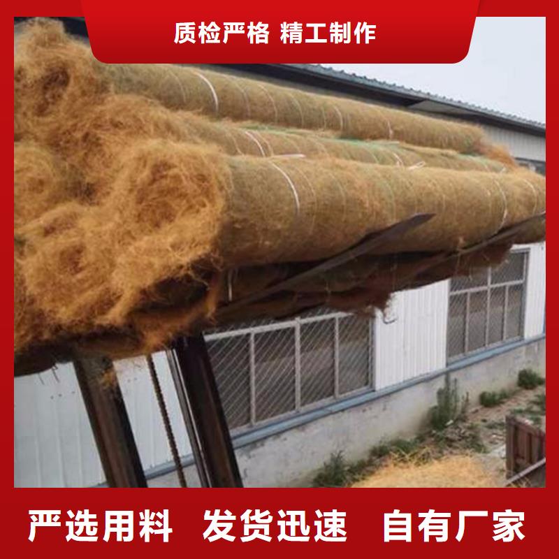 植生椰丝毯护坡生态毯