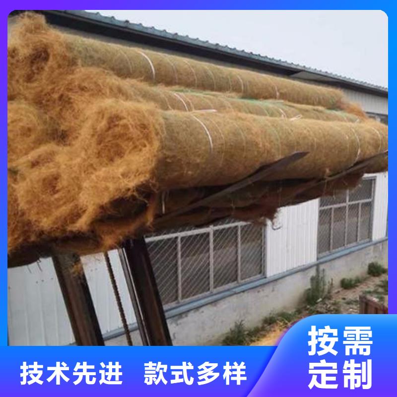 加筋抗冲生态毯-生态环保草毯