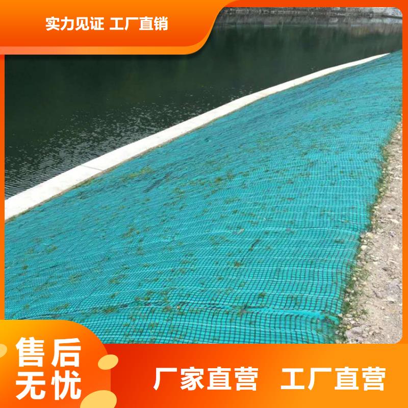 椰丝毯新闻资讯
