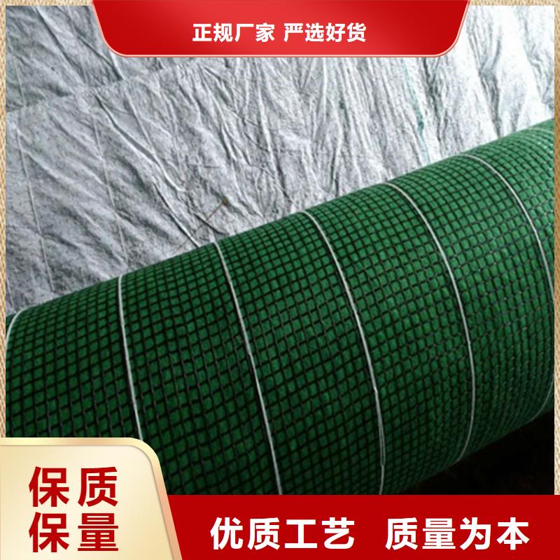 加筋抗冲生态毯-生态环保草毯