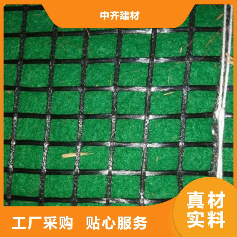 椰丝护坡毯-护坡绿化植草毯