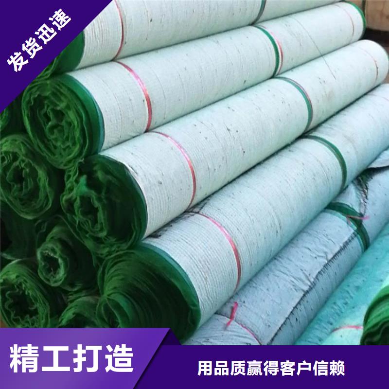 椰丝植草毯河道护坡植生毯