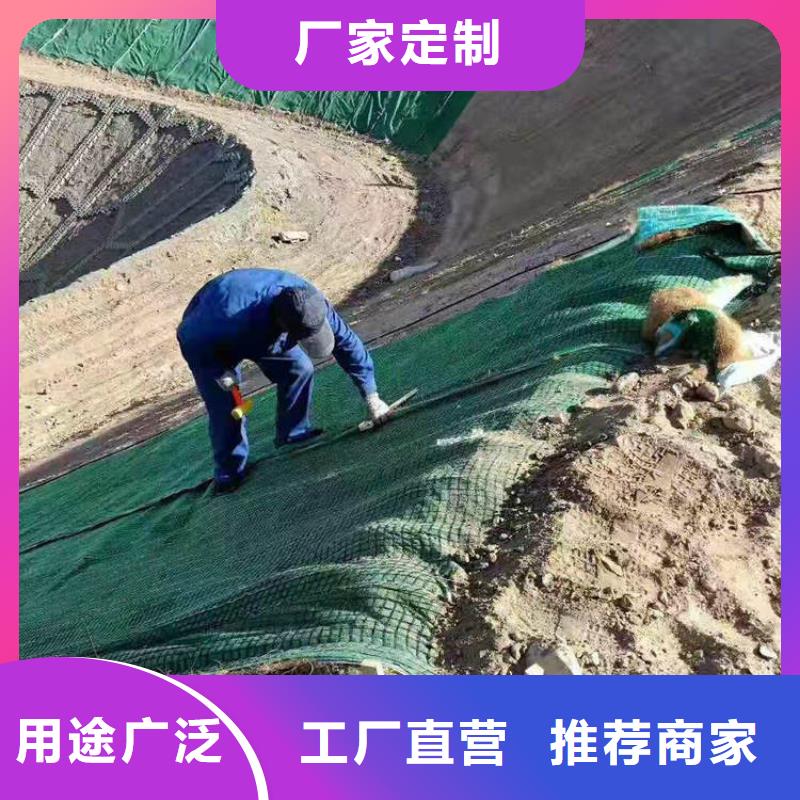 椰丝护坡毯-护坡绿化植草毯