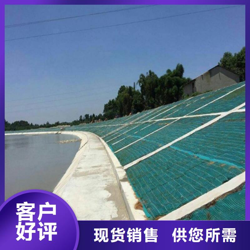 椰纤植生毯-植物生态防护毯-绿化植被垫