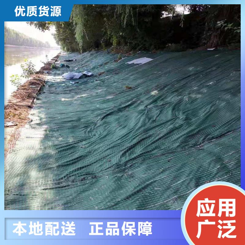 植物生态防护毯-椰纤植生毯