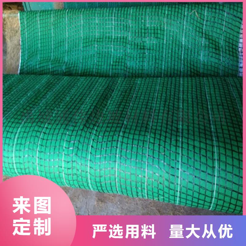 植物生态防护毯-椰纤植生毯