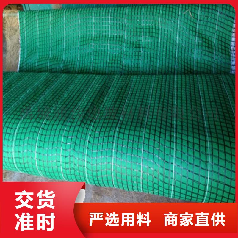 椰丝植被纤维毯-水保植物纤维毯