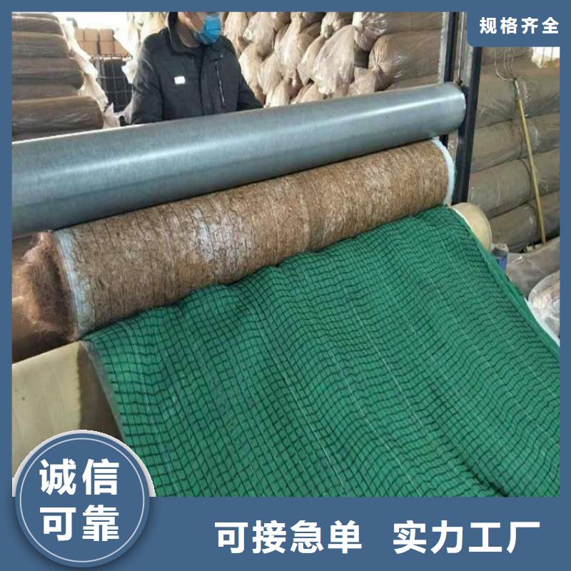 植物生态防护毯-护坡植被植草毯