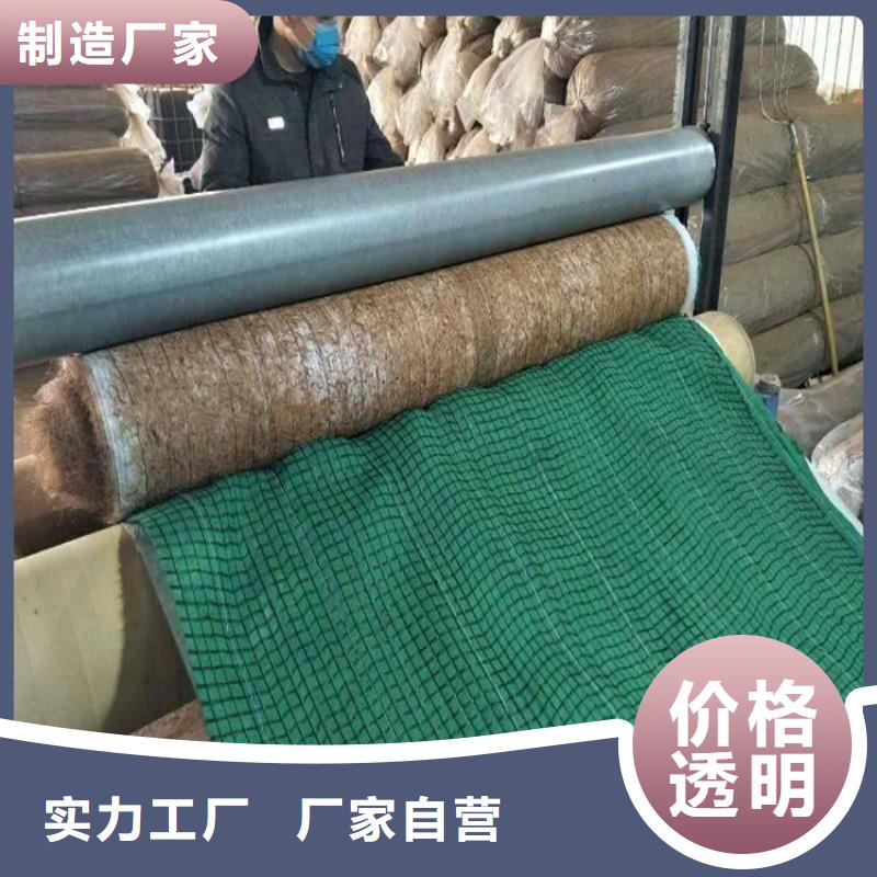 加筋抗冲生态毯-植被纤维毯