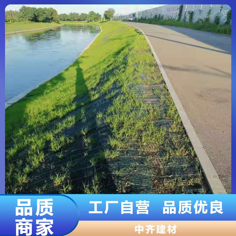 植物生态防护毯加筋-防护施工