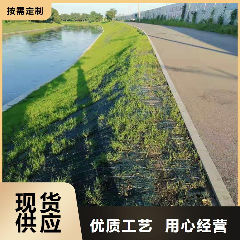 植物纤维毯-护坡植被植草毯