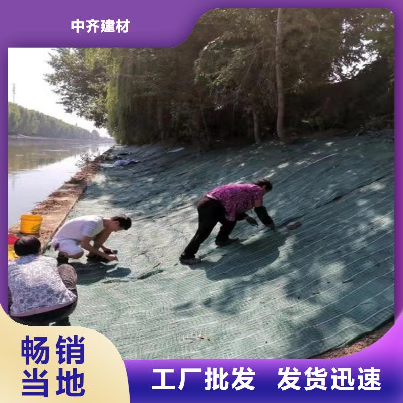 植物纤维毯-护坡植被植草毯-矿山修复植生毯