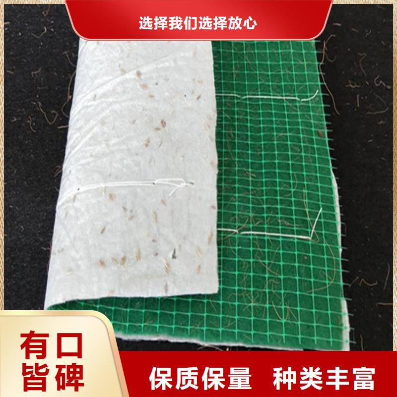 植生椰丝毯-加筋抗冲生物毯-河道护坡椰丝毯