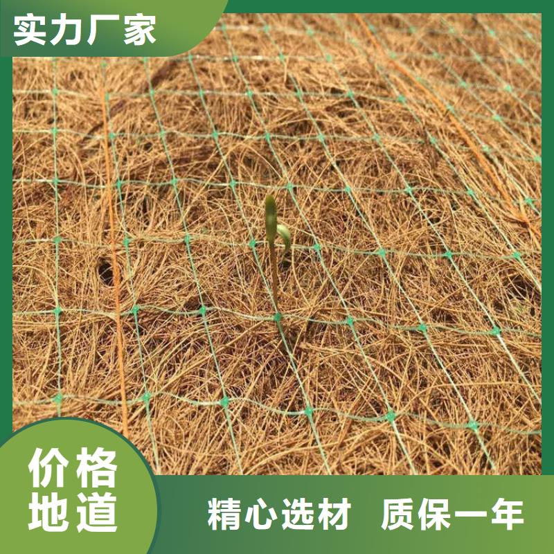 植物纤维毯