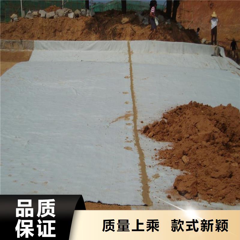 膨润土防水毯可定制