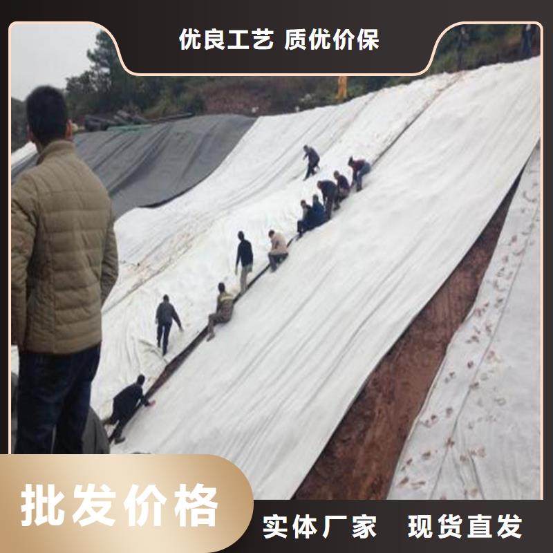 膨润土防水毯玻璃纤维土工格栅源厂供货