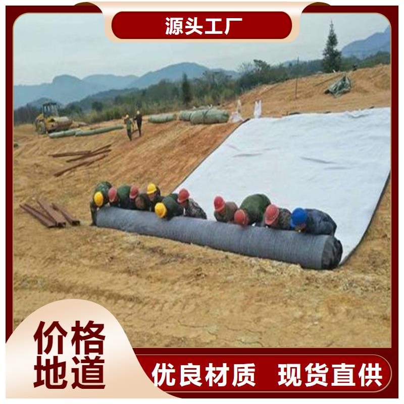 膨润土防水毯_防渗膜产地厂家直销