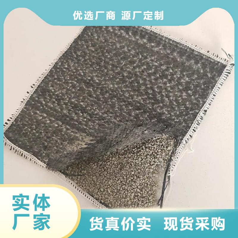 膨润土防水毯无纺布厂家直营