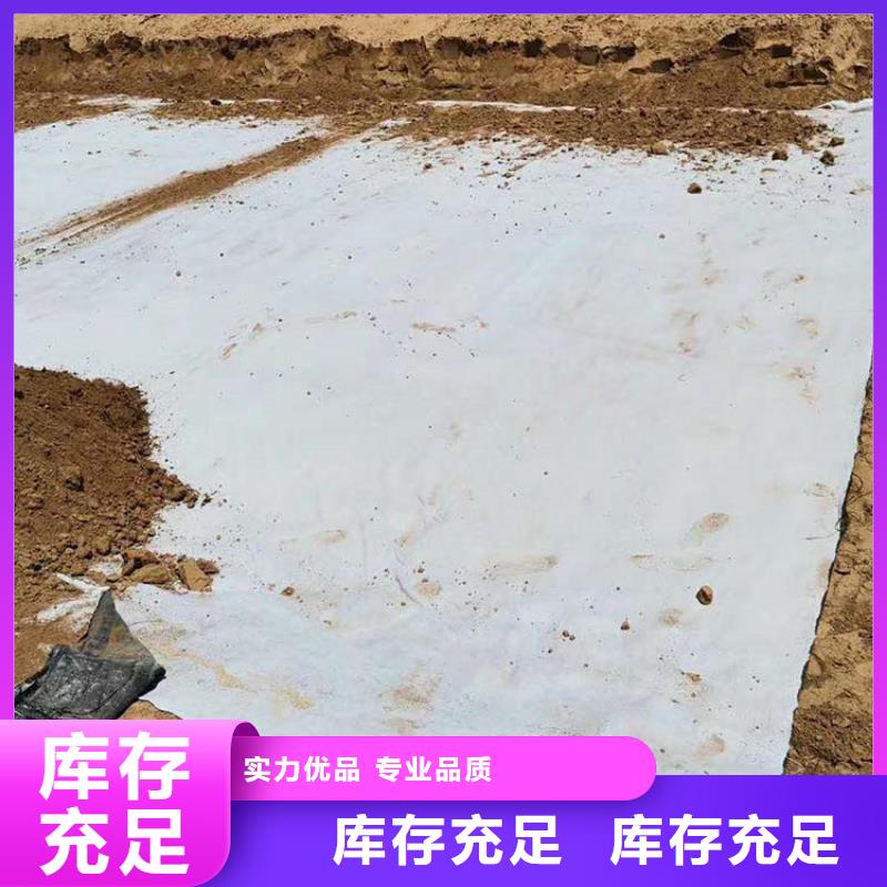 膨润土防水毯土工布专注细节专注品质