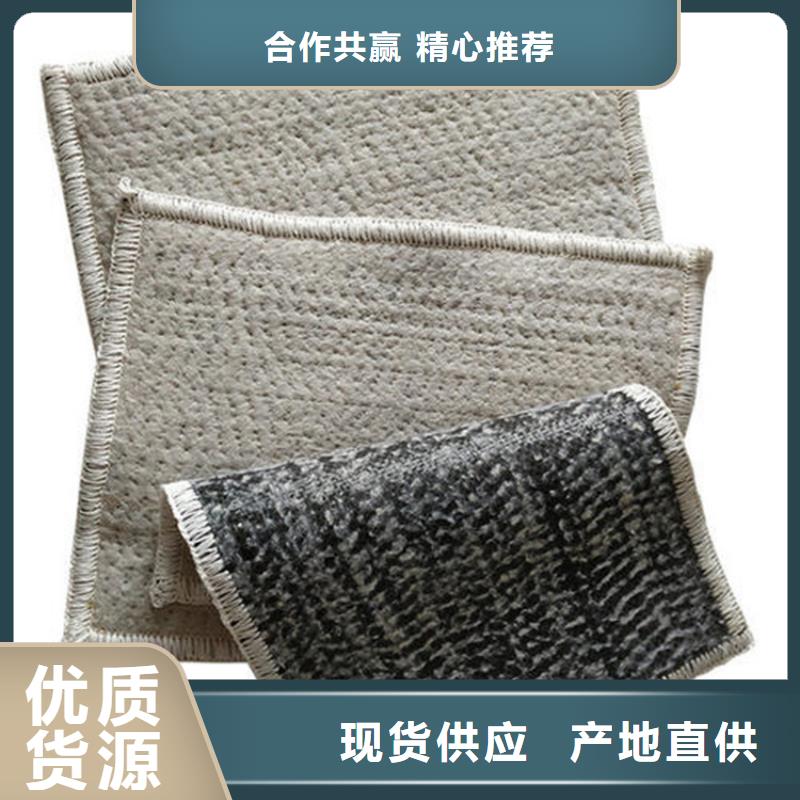 膨润土防水毯_防渗膜产地厂家直销