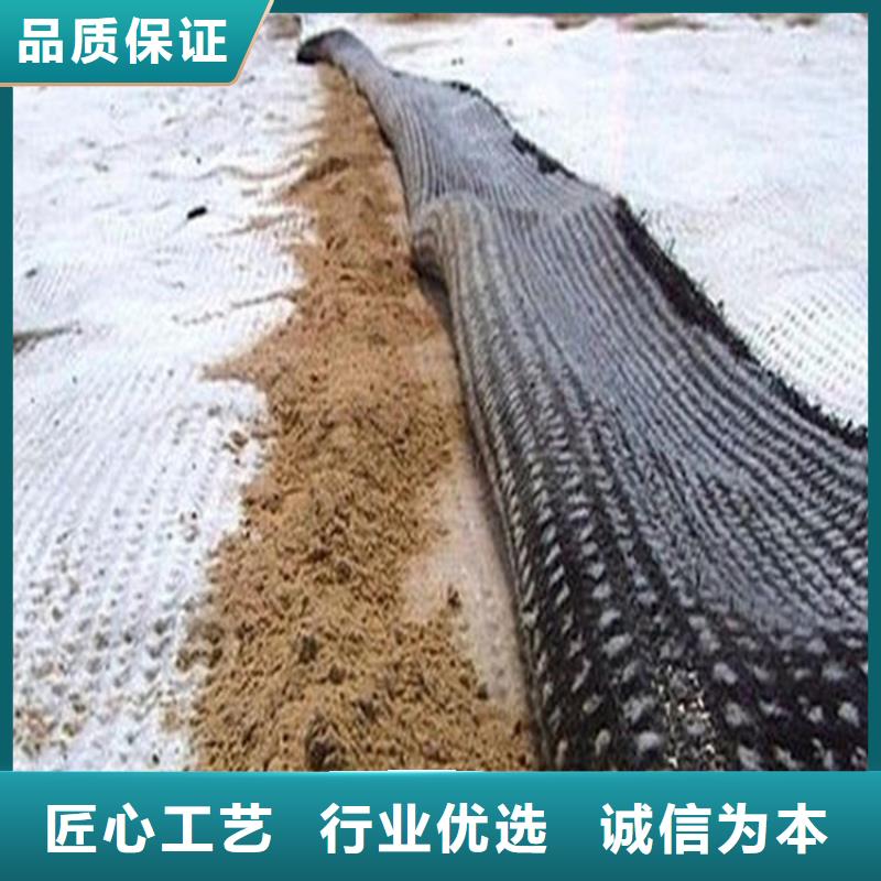膨润土防水毯无纺布厂家直营