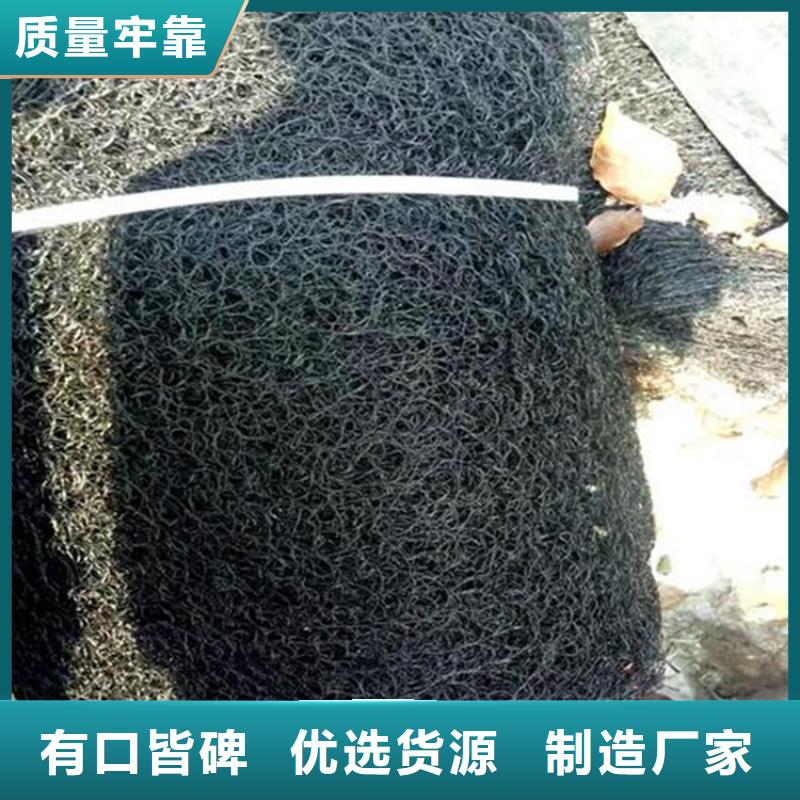 8mm通风降噪丝网承接