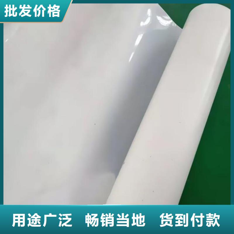 防水板【玻璃纤维土工格栅】厂家新品