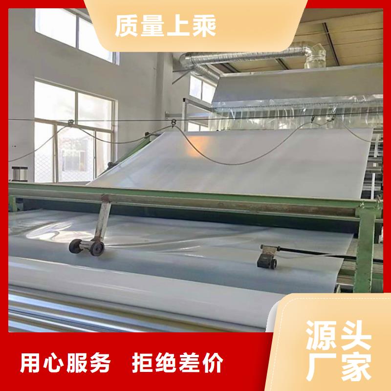防水板聚酯玻纤布准时交付