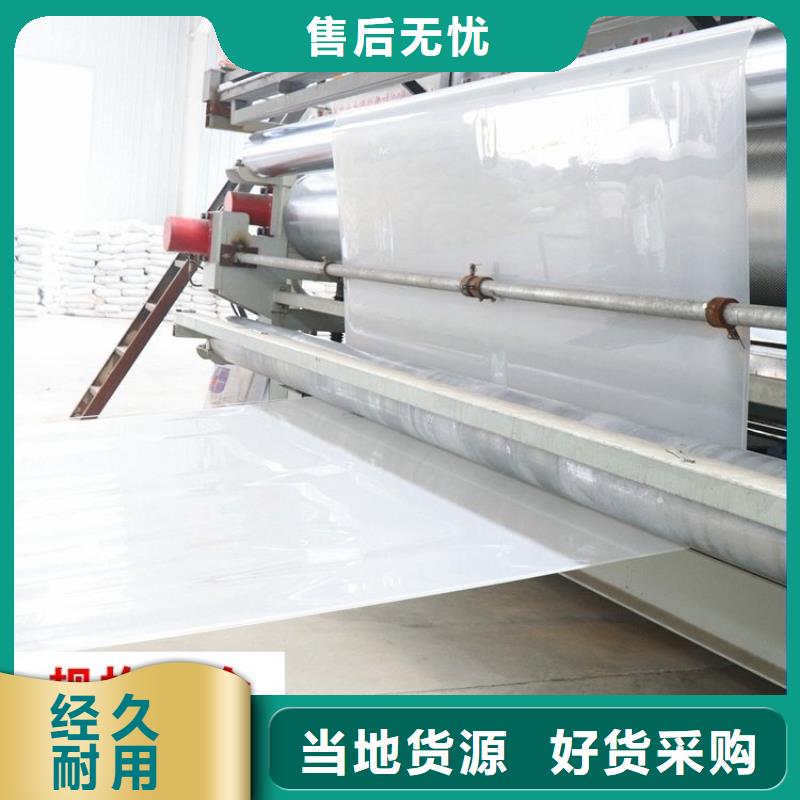【防水板】双向土工格栅支持批发零售