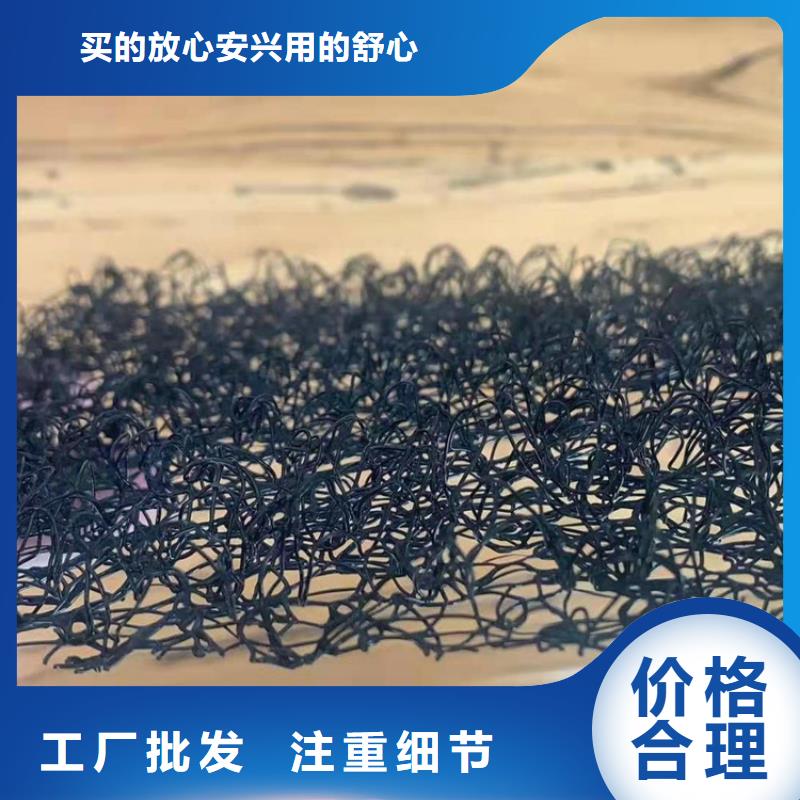 水土保护毯双向塑料土工格栅多年行业经验