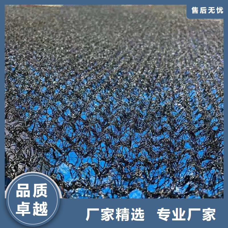 水土保护毯网格布品质保障价格合理