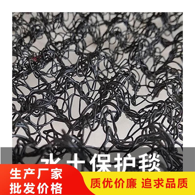 水土保护毯双向塑料土工格栅多年行业经验