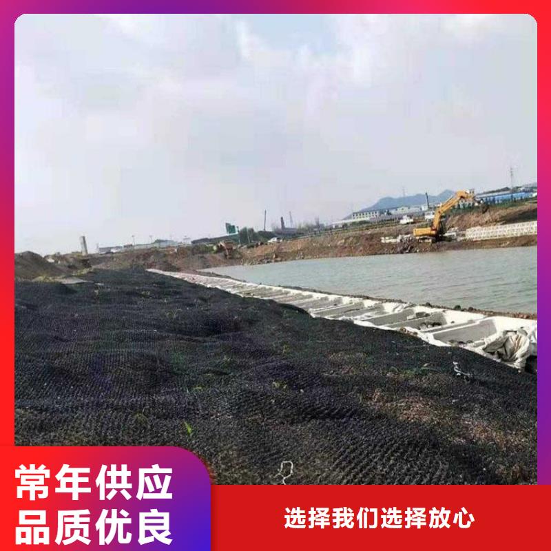 水土保护毯土工格室N年专注