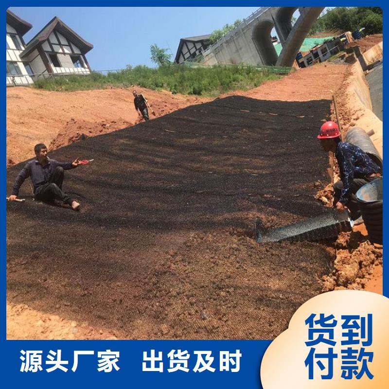 水土保护毯土工格室N年专注