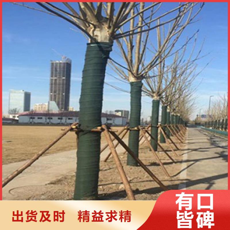 裹树布排水板根据要求定制
