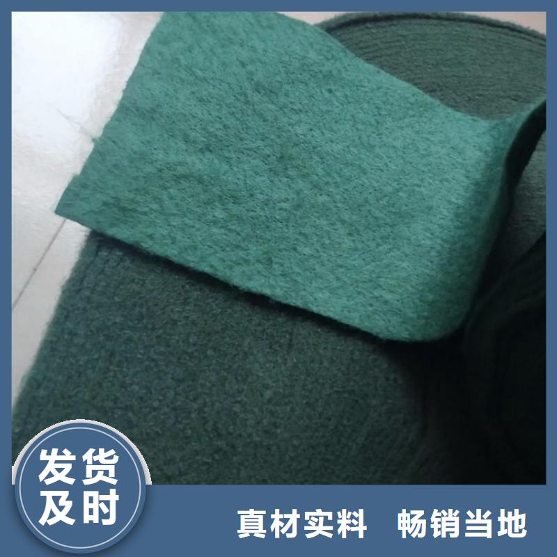 裹树布双向塑料土工格栅多行业适用