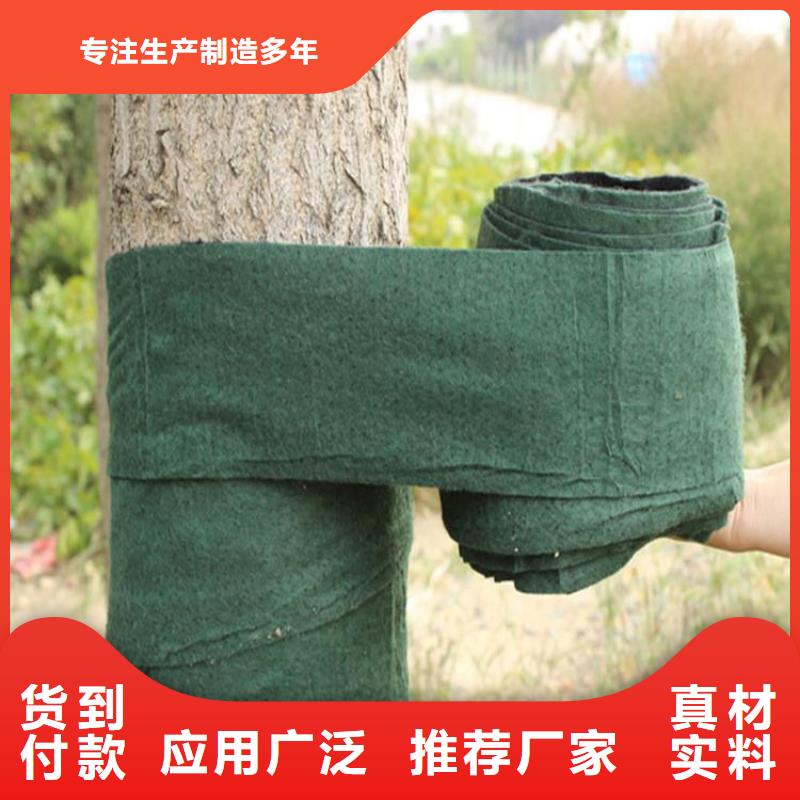 裹树布_无纺布好品质选我们