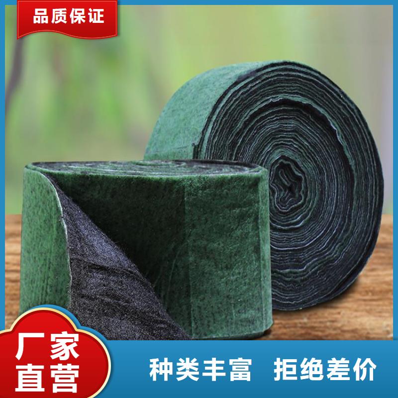 裹树布双向塑料土工格栅多行业适用