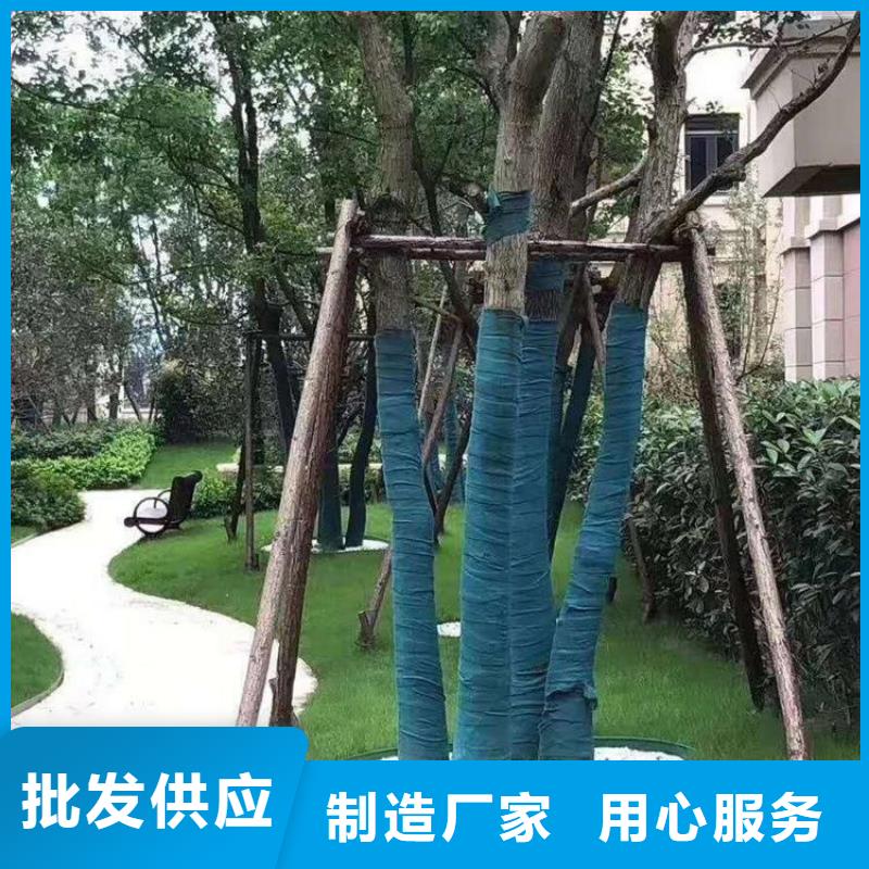 裹树布波纹管技术先进