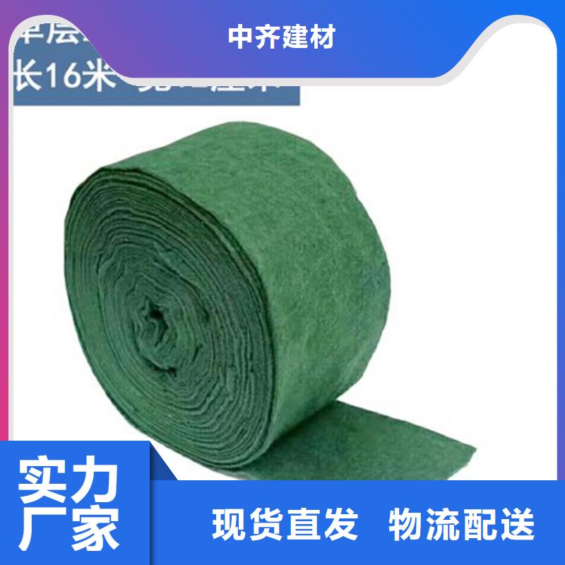 裹树布-钢塑土工格栅用心做品质