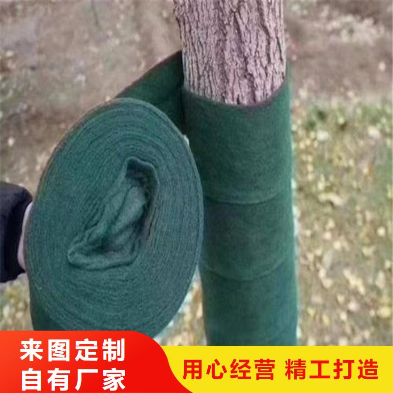 裹树布双向塑料土工格栅多行业适用
