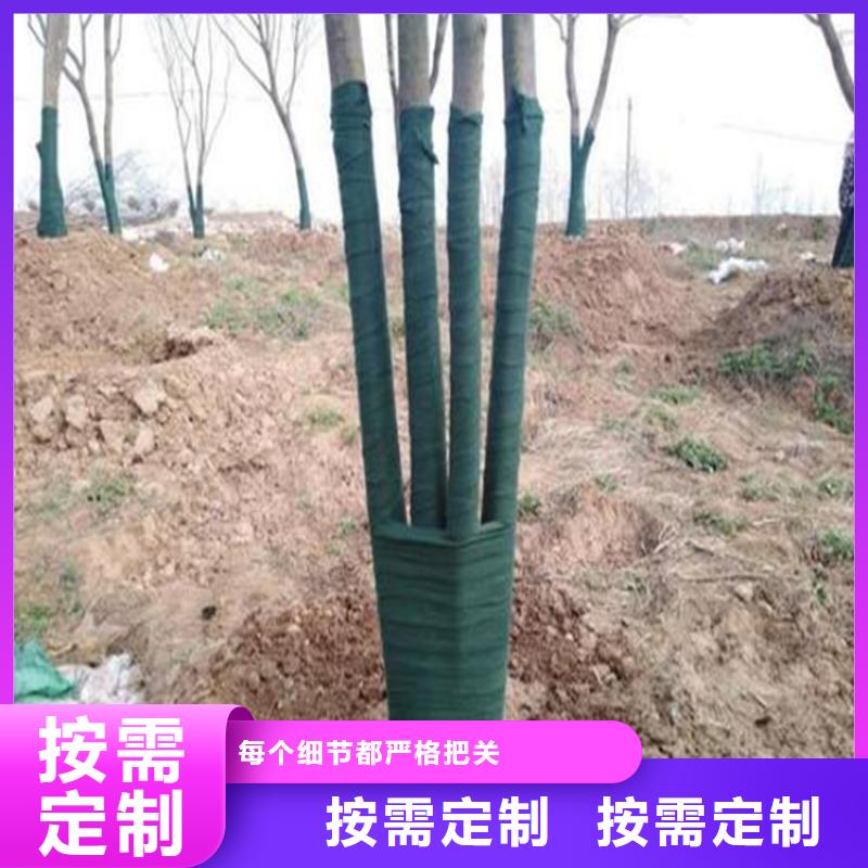 裹树布-排水板材质实在