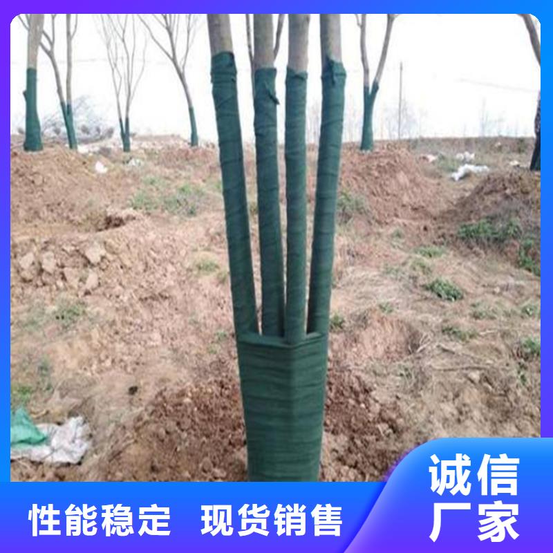 裹树布-排水板材质实在