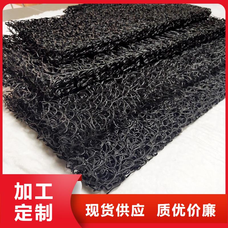 土工席垫,钢塑土工格栅工厂现货供应
